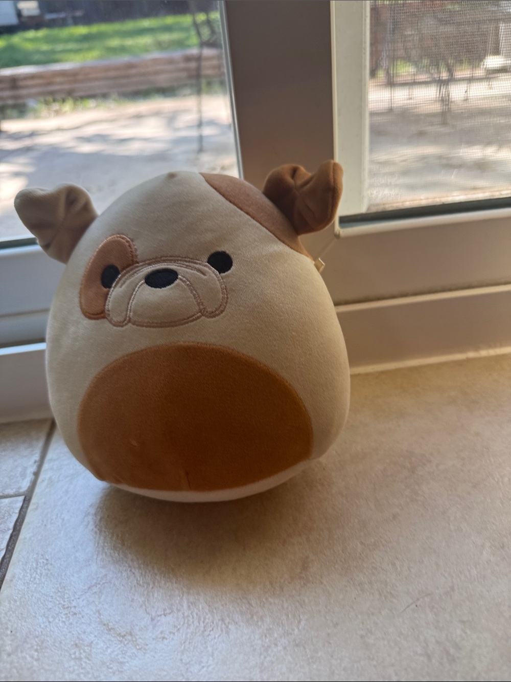 Squishmallows Cream & Brown pug